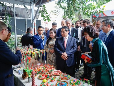  Thủ tướng dự Chương trình “Ngày Việt Nam tại Brazil”