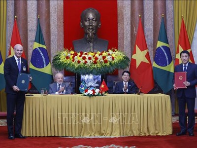 Chủ tịch nước Lương Cường hội đàm với Tổng thống Brazil