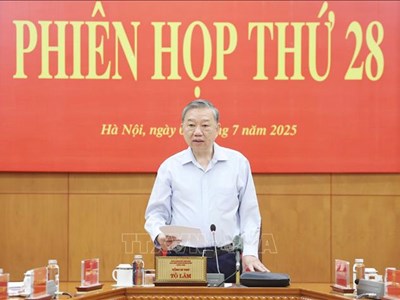 Kịp thời phát hiện, xử lý các sai phạm liên quan đến sắp xếp tổ chức bộ máy