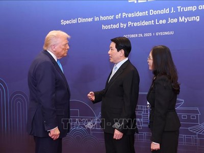 Chủ tịch nước Lương Cường gặp Tổng thống Hoa Kỳ và lãnh đạo cấp cao các nước APEC