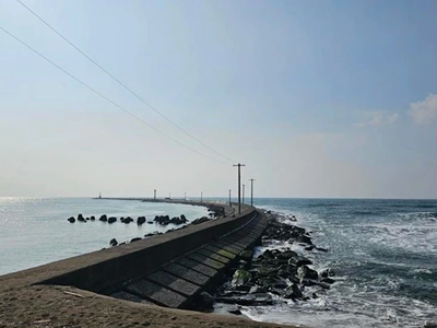 8 lao động Việt Nam gặp nạn do sóng lớn tại Nhật Bản, 1 người tử vong, 3 người mất tích