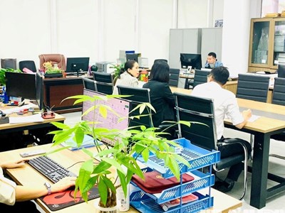Quy định mới về vị trí việc làm viên chức áp dụng từ 1.7