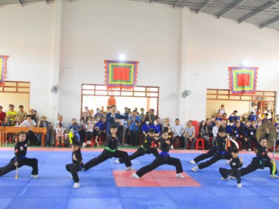 Bình Định hỗ trợ kinh phí các lò võ, võ đường, câu lạc bộ Võ cổ truyền
