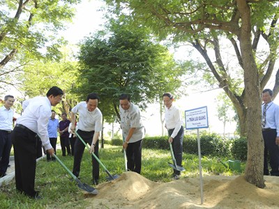 Bước tiến mới trong quản lý, phân cấp di tích tại Bình Định