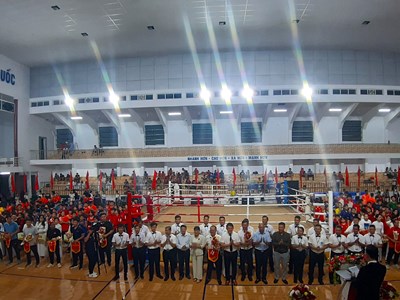 Hơn 500 VĐV tham gia Giải Vô địch Kickboxing Trẻ toàn quốc năm 2024