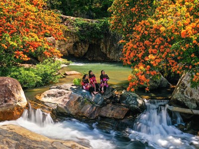 Hương sắc hoa Trang - Hòa quyện văn hóa và thiên nhiên