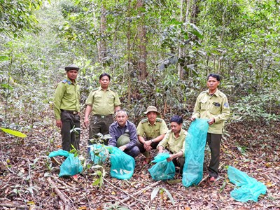 Vườn quốc gia Kon Ka Kinh: Thả 17 cá thể động vật rừng về môi trường tự nhiên