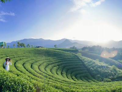 La Bằng thức giấc cùng du lịch xanh dưới chân Tam Đảo