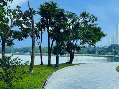 Việt Nam vào tầm ngắm của du khách yêu thích chữa lành