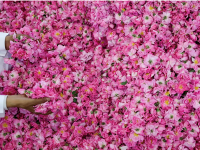 Thành phố hoa hồng của Saudi Arabia làm đắm say du khách