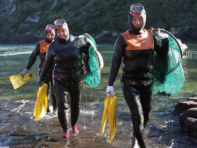 Những kình ngư gắn liền với cuộc sống  biển cả đại dương