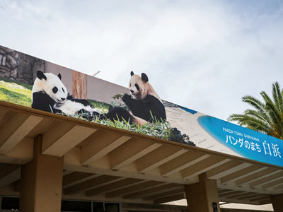 Nhật Bản nói lời tạm biệt với gấu trúc