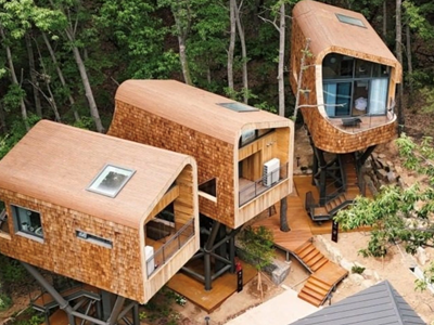 Độc đáo kiến trúc nhà trên cây “hút hồn” du khách