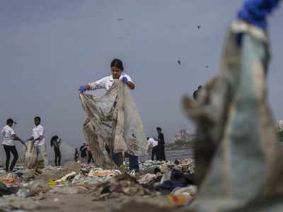 Báo động giải quyết khẩn cấp