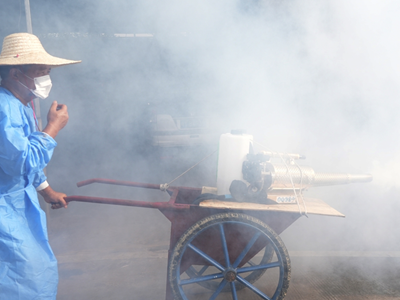 Khuyến cáo ban đầu cho người dân về dịch bệnh Chikungunya từ muỗi