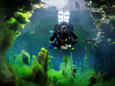 Khám phá thế giới lặn tuyệt vời ẩn dưới những con phố của Budapest (Hungary)