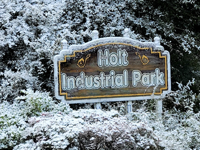 Bang Florida của Mỹ đón tuyết năm thứ hai liên tiếp