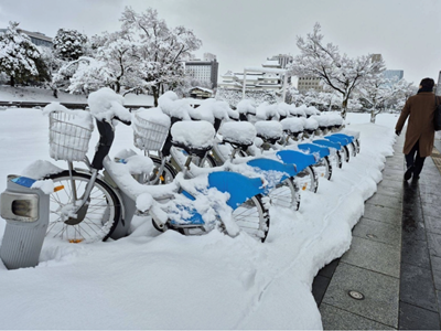 Nhật Bản đối mặt với đợt tuyết dày kéo dài, giao thông tê liệt