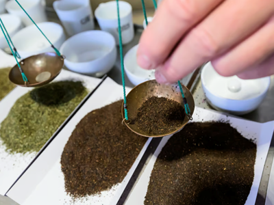 Không chỉ bia, nước Đức còn có một nền văn hóa trà lâu đời