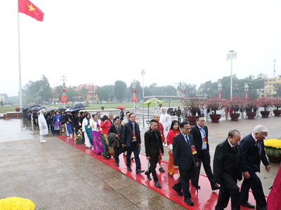 Đoàn kiều bào tiêu biểu vào Lăng viếng Chủ tịch Hồ Chí Minh, đặt vòng hoa tưởng niệm các Anh hùng liệt sĩ