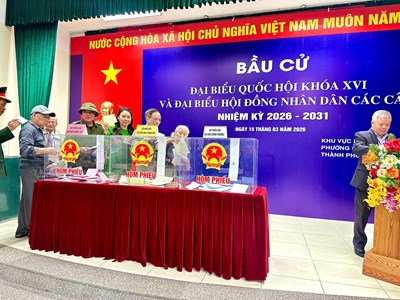 Kiều bào về nước gửi trọn niềm tin qua lá phiếu bầu cử