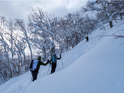 Thiên đường tuyết Nhật Bản thu hút khách du lịch