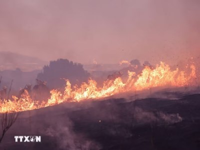Cháy rừng đang hoành hành miền Tây nước Mỹ