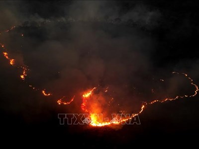Mỹ Latinh khẩn trương ứng phó El Niño trước nguy cơ thời tiết cực đoan