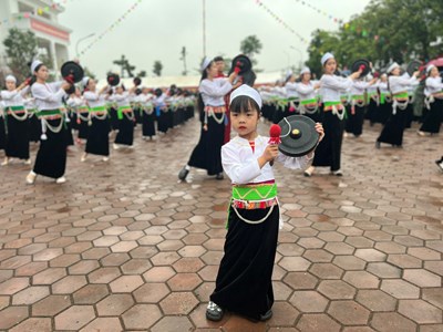 Sôi động Ngày hội Văn hóa, ẩm thực dân tộc Mường