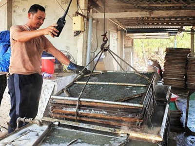 Mùa hấp cá ở xứ biển 