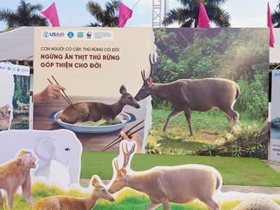 Các hoạt động hưởng ứng Ngày Quốc tế đa dạng sinh học năm 2024