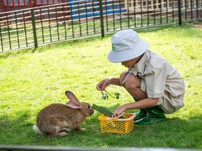 "Chung tay bảo vệ rừng, bảo vệ động vật hoang dã"