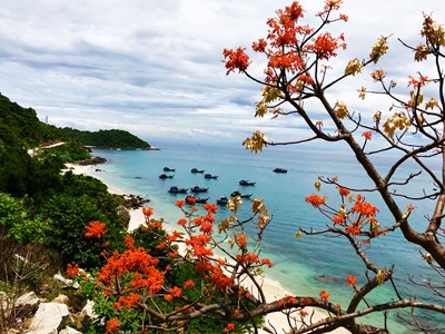  Tăng cường quản lý nhà nước các bãi biển du lịch ở Hội An