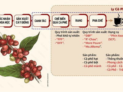 Thưởng thức cà phê phin Việt Nam kết hợp bộ pha trà Nhật Bản