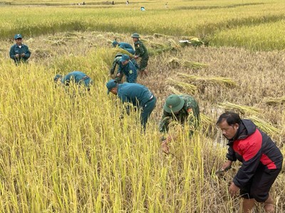 Bộ đội biên phòng giúp dân ứng phó bão số 6