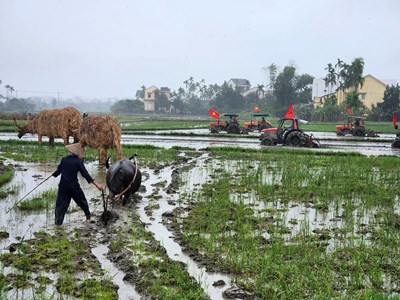 Về Hội An, tham gia lễ hội xuống đồng ngày đầu năm mới