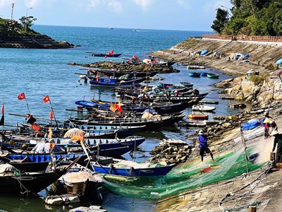 Mô hình mới trong quản lý Khu sinh quyển Cù Lao Chàm - Hội An