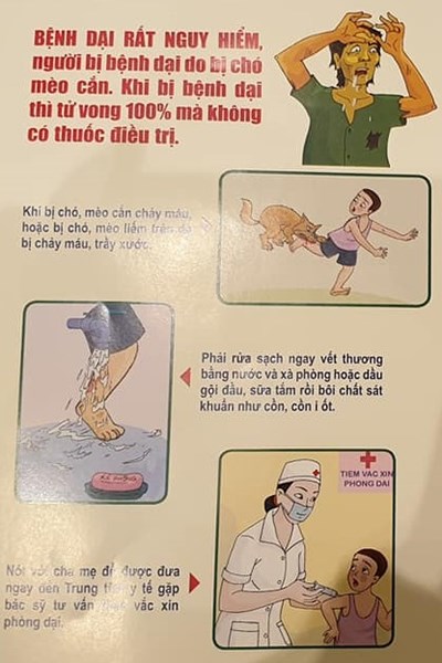 18 tỉnh, thành phố có người chết vì bệnh dại - Anh 1