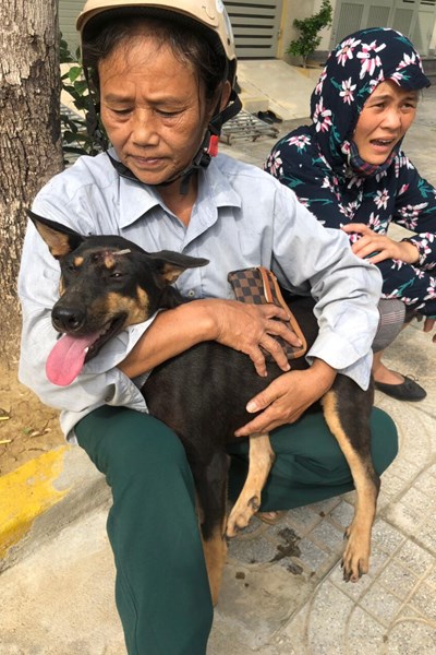 Hơn 30 chủ nuôi đã tìm thấy chó cưng trong vụ phát hiện đường dây trộm chó - Anh 1
