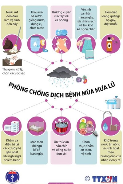 Đề phòng dịch bệnh trong và sau mùa bão lụt - Anh 1