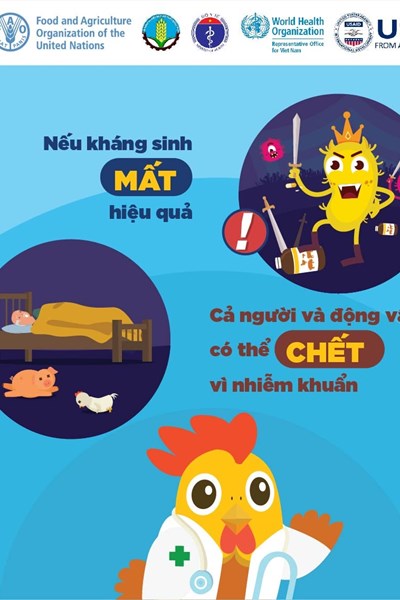 Chấm dứt lạm dụng kháng sinh trong bệnh viện, chăn nuôi và hộ gia đình - Anh 1