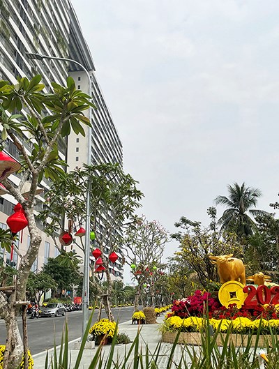 Khánh thành Công viên hoa Xuân tại Diamond Lotus Riverside - Anh 1