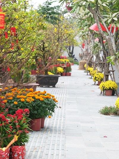 Khánh thành Công viên hoa Xuân tại Diamond Lotus Riverside - Anh 2