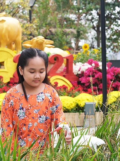Khánh thành Công viên hoa Xuân tại Diamond Lotus Riverside - Anh 4