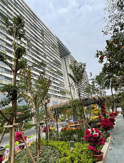 Khánh thành Công viên hoa Xuân tại Diamond Lotus Riverside - Anh 8