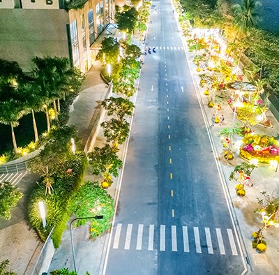 Khánh thành Công viên hoa Xuân tại Diamond Lotus Riverside - Anh 9
