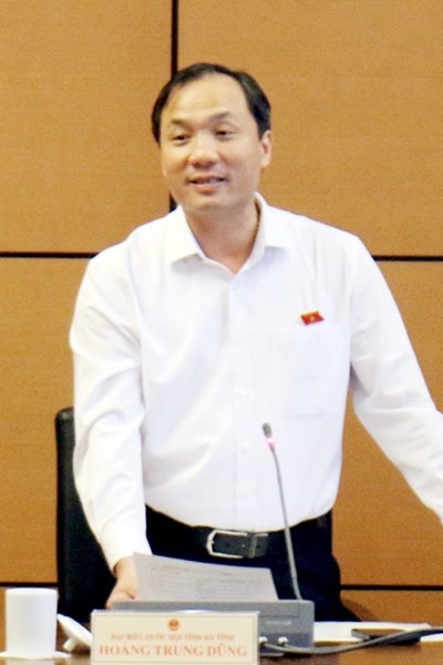 Đại biểu Quốc hội: Cần chú trọng đầu tư phát triển văn hoá - Anh 2