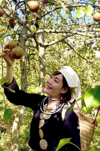 Chuẩn hóa du lịch nông nghiệp, nông thôn - Anh 4