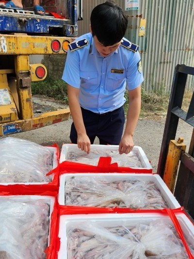 Phát hiện cá khoai bày bán ở chợ dương tính với phoóc môn - Anh 2