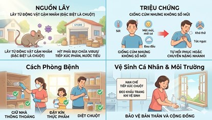 Làm gì để phòng ngừa Virus Hanta? Những khuyến cáo quan trọng từ Bộ Y tế